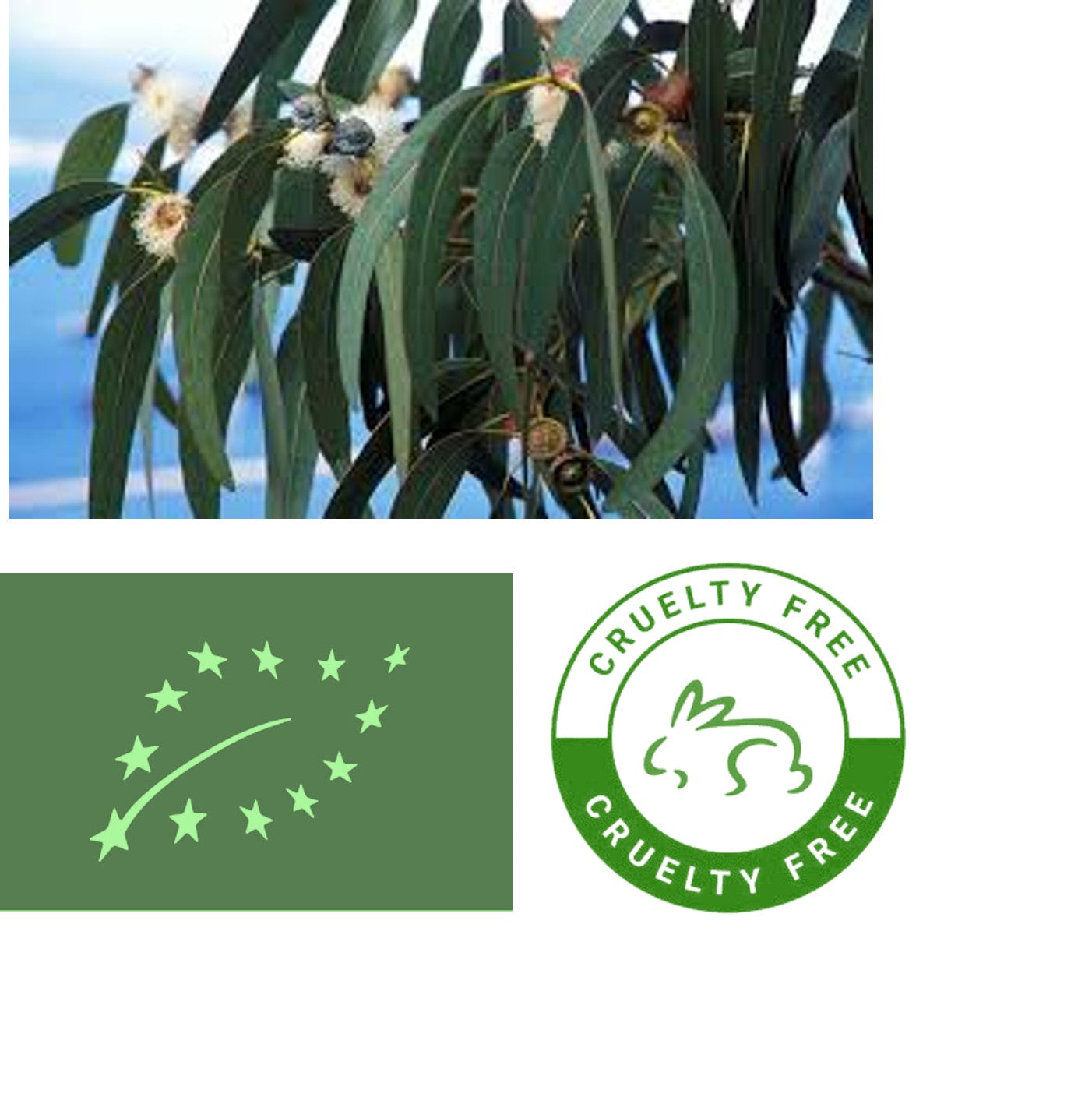 Bergamotin (Citrus bergamia) eteerinen öljy