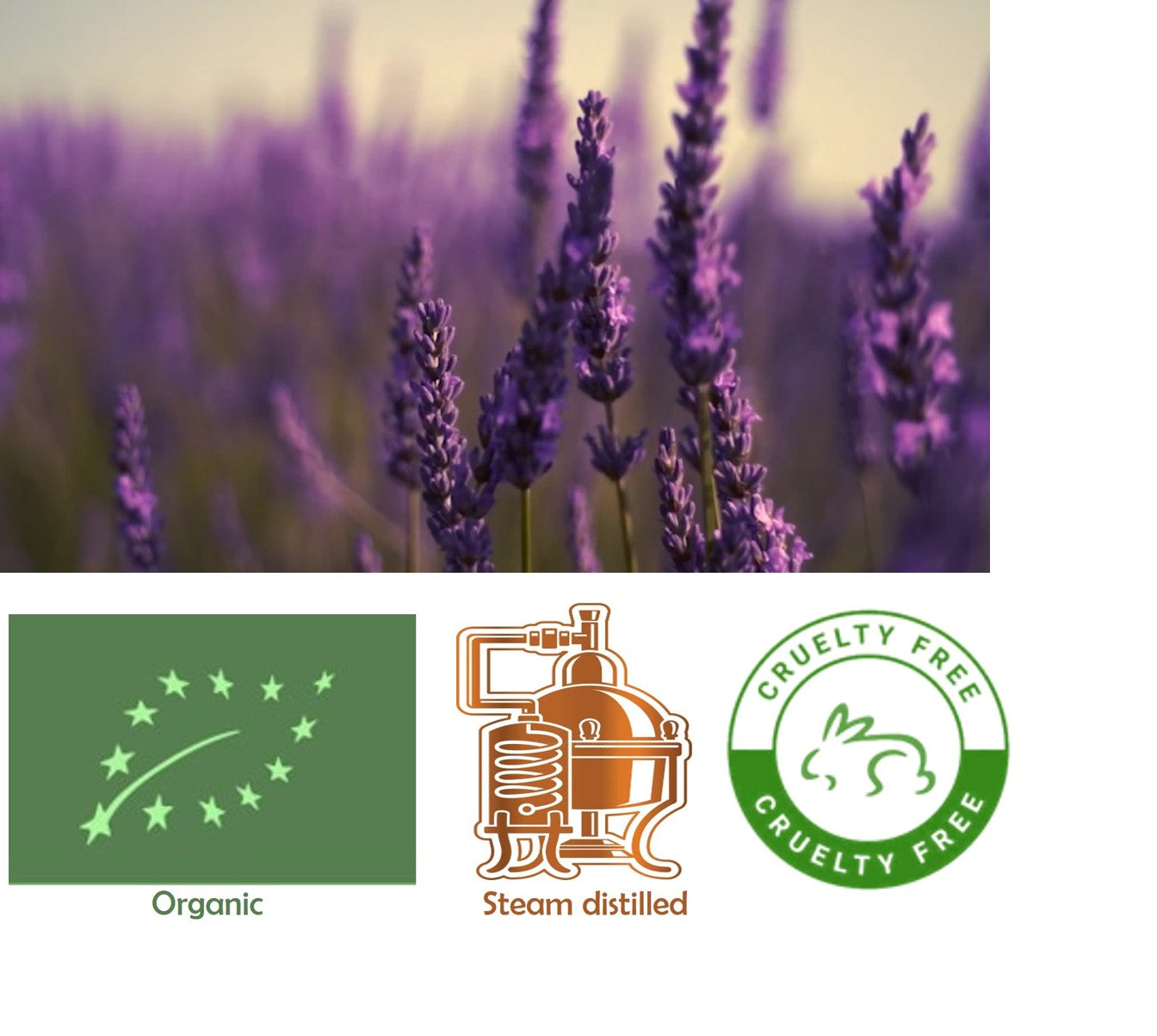 Bergamotin (Citrus bergamia) eteerinen öljy