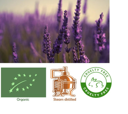 Bergamotin (Citrus bergamia) eteerinen öljy