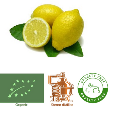 Lemon (Organic) Citrus limon