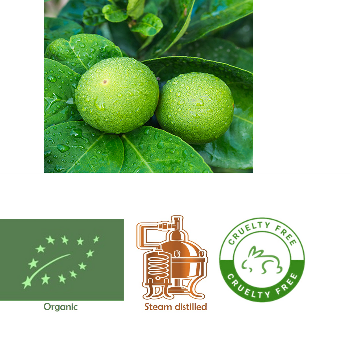 Bergamotin (Citrus bergamia) eteerinen öljy