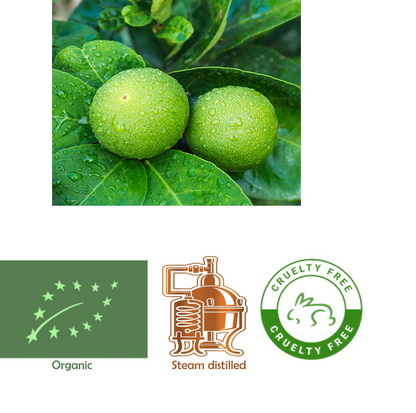 Bergamotin (Citrus bergamia) eteerinen öljy